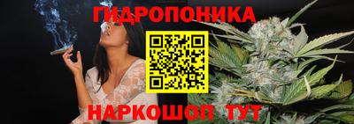 jwh Владимир