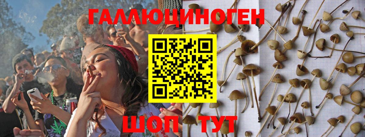 Псилоцибиновые грибы ЛСД  Псилоцибиновые грибы Psilocybine cubensis  Вход с VPN  Новый Уренгой 