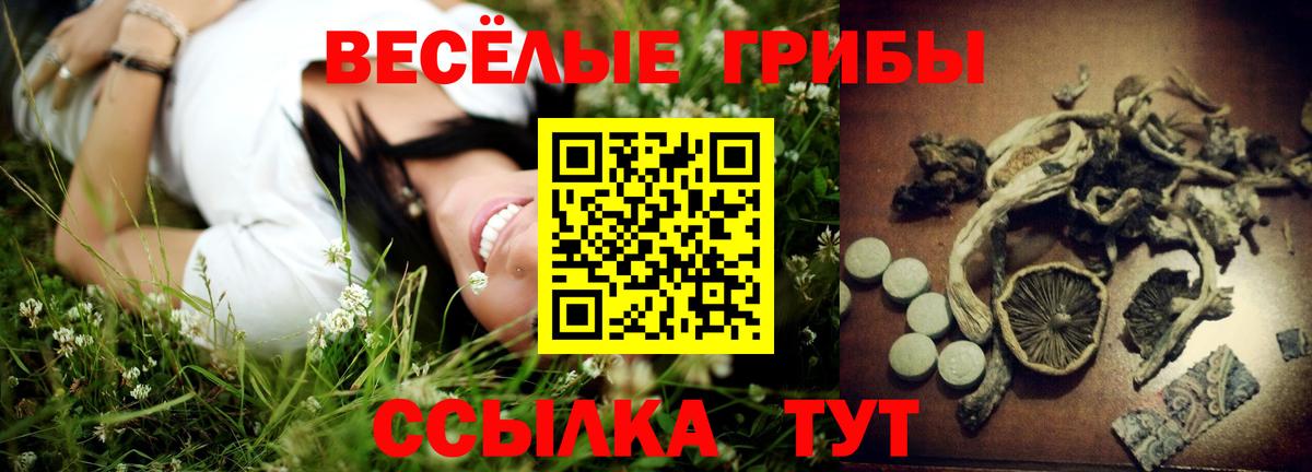 Псилоцибиновые грибы Psilocybine cubensis Новый Уренгой